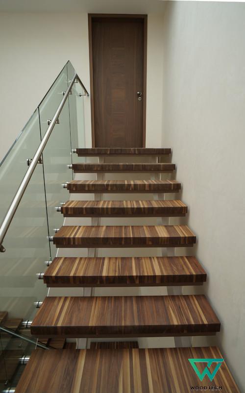 Cầu thang gỗ óc chó hiện đại kiểu Mỹ WT - 0004